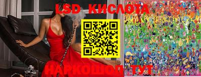 МДПВ Новодвинск
