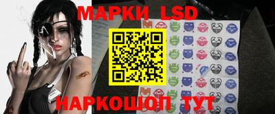 МДПВ Новодвинск