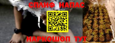 Альфа ПВП Новозыбков