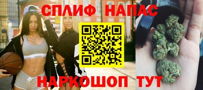 МДПВ Новодвинск