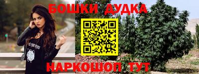 МДПВ Новодвинск